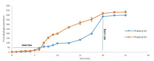 Figure 2. One-stage growth curve of PPaMa3/19 and PPaMa4/19 phages over 25 min.