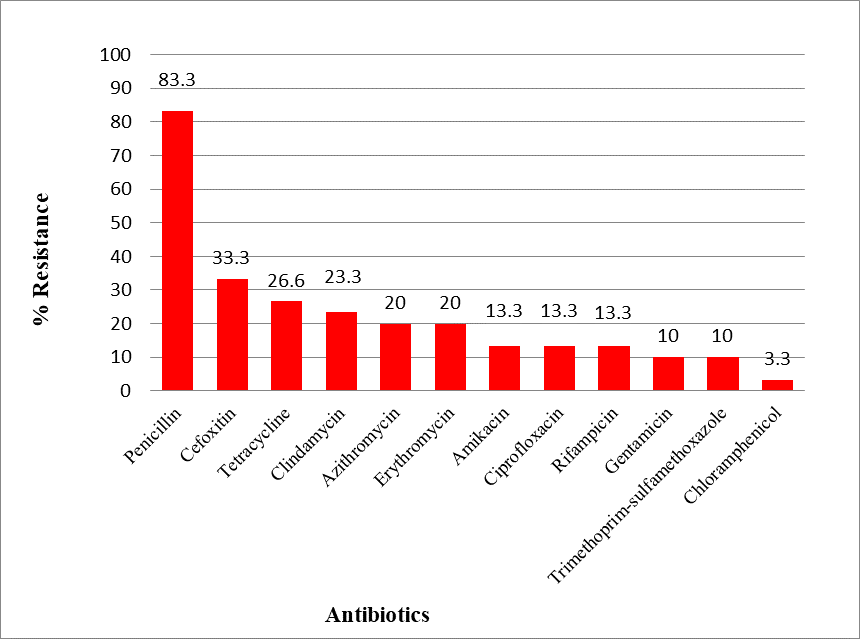 Figure 1. Antibiotic resistance patterns of Staphylococcus aureus strains