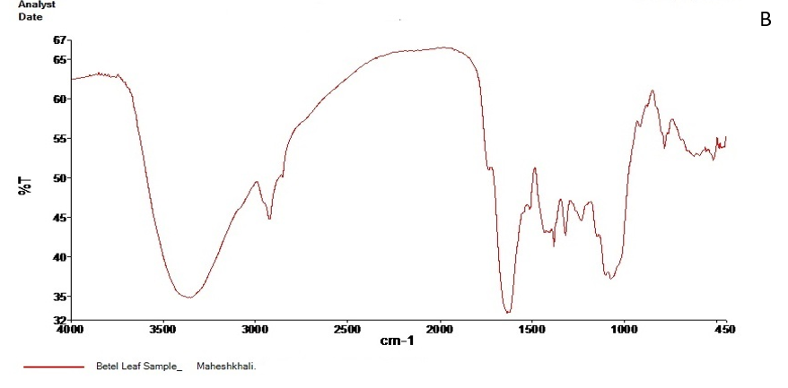 Figure 3. FT-IR spectrum of Barguna (A) and Moheshkhali (B) areas P. betle leave extracts