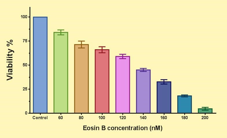Figure 4. The effect of eosin B on the ring of P. falciparum 3D7 parasite. The viability (%) compared to the control group is shown for each test group.