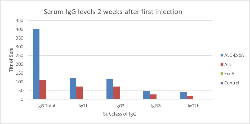 Figure 2. Induction of antibodies in BALB/c mice for two weeks after the first injection (Day 14). The results of inductions for a subclass of IgG antibodies were observed D-ALG-EXO-A> D-ALG> EXO-A