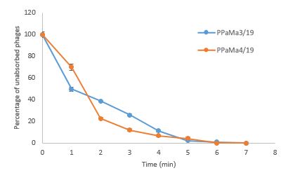 Figure 1. Phage adsorption kinetics of PPaMa3/19 and PPaMa4/19 on host cells within 7 min.