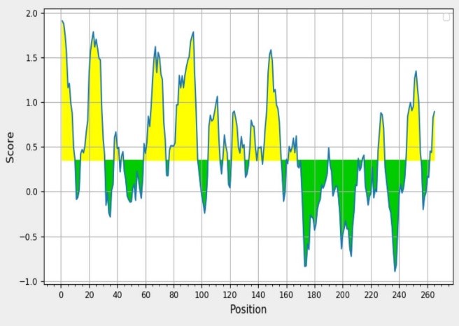 Figure 6. Bepipred linear epitope prediction in the immunogenic structure (Notes: x-axis and y-axis show position and score, respectively. The threshold is 0.50. Areas with beta screws are shown in yellow. The highest peak region represents the most powerful B cell epitope.