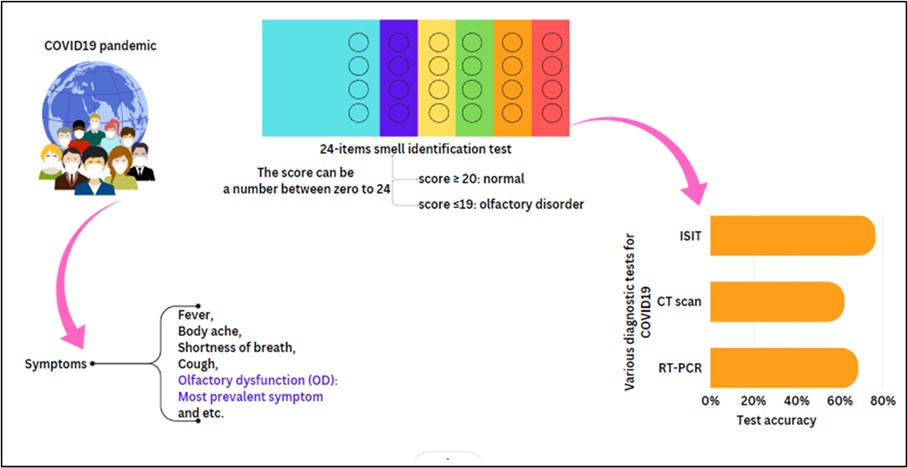 Figure 2. Schematic illustration of materials and methods of the study (Designed by the authors, 2024).